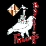 Falcons de Barcelona