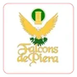 Falcons de Piera