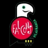 Falcons de Vilafranca